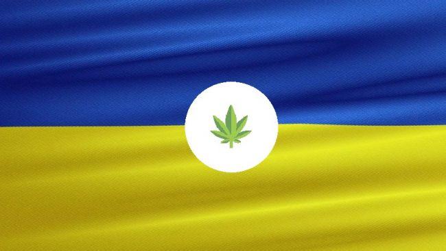 украина за легализацию конопли